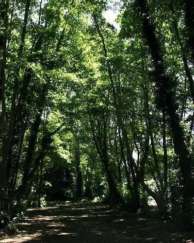 Dei Marmi Forte dei Marmi